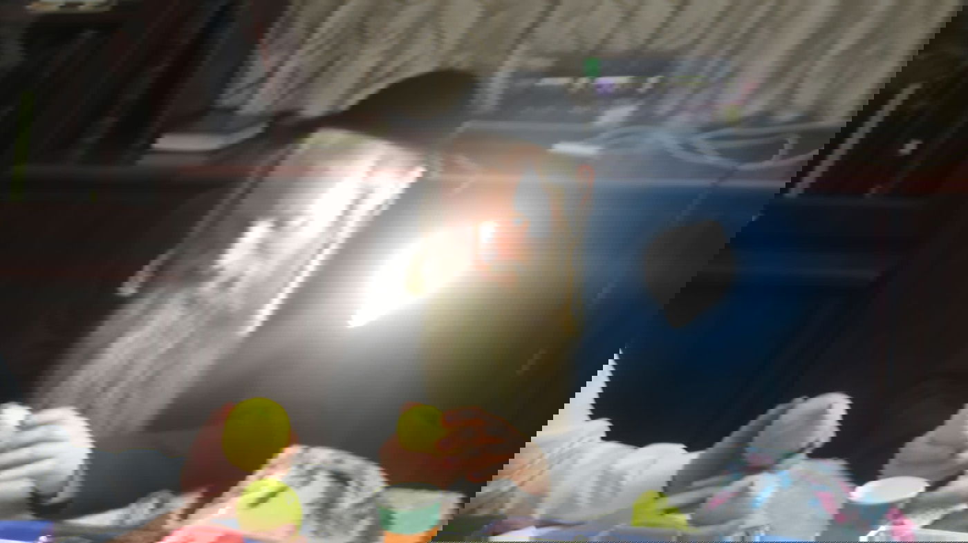 גדולי רבני העיר אלעד במענה לתושבי העיר בעניין ד' מינים 