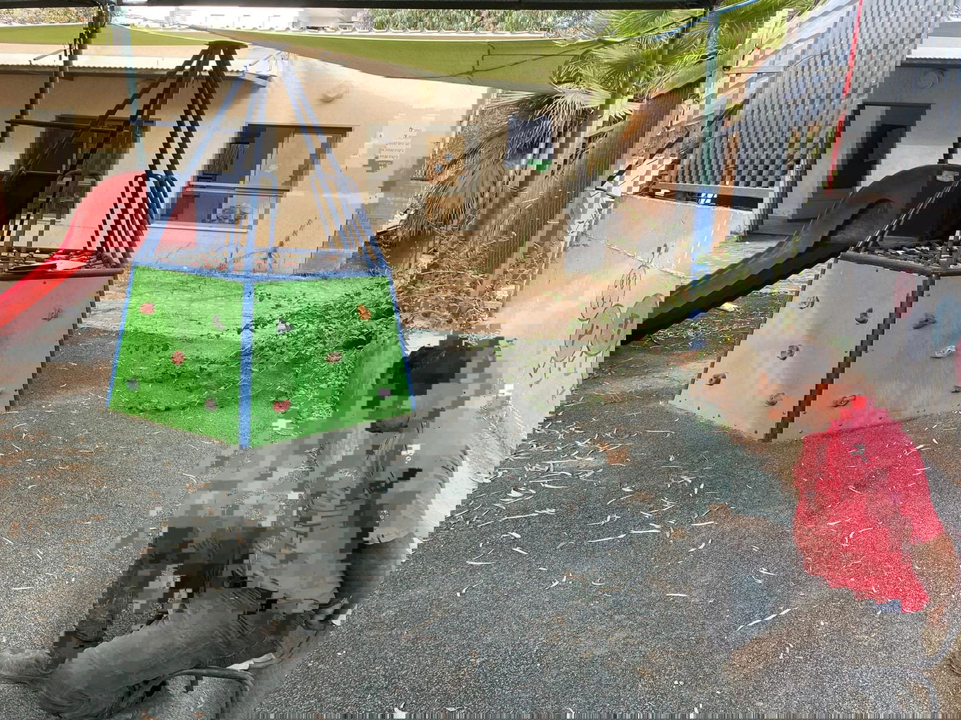 אחד השב"חים שנתפסו