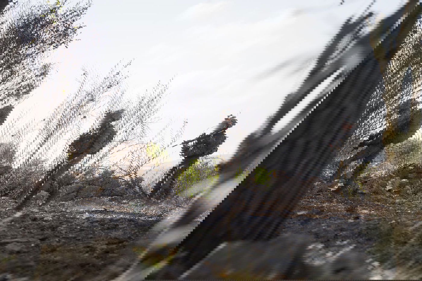 תיעוד ענק: המחבלים יורים נ"ט, בורחים - ומחוסלים מהאוויר