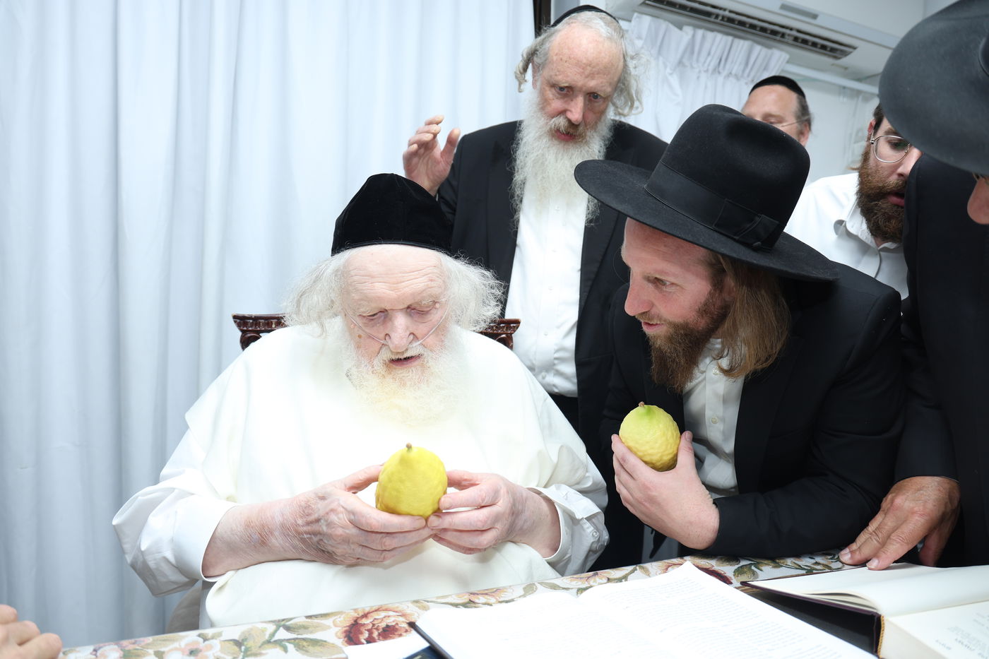הגאון רבי משה שטרנבוך בודק אתרוגו לפני חג הסוכות 