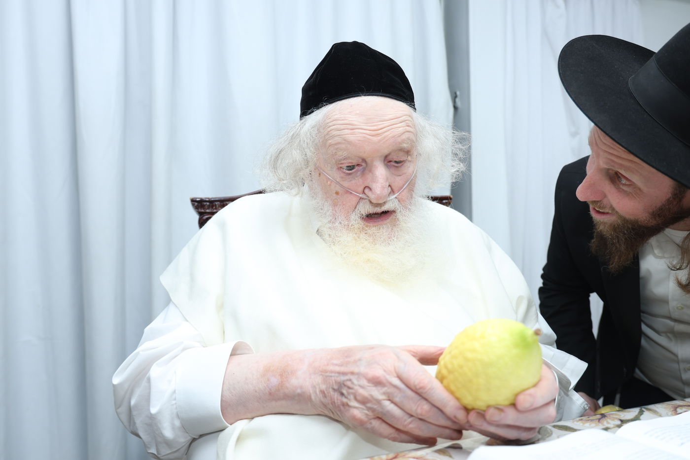 הגאון רבי משה שטרנבוך בודק אתרוגו לפני חג הסוכות 