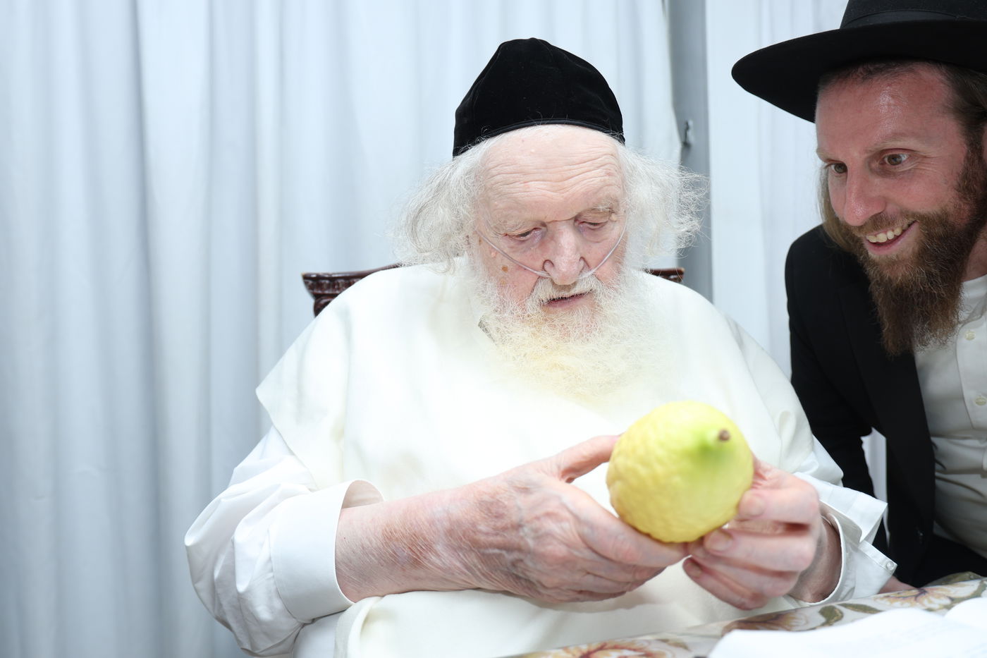 הגאון רבי משה שטרנבוך בודק אתרוגו לפני חג הסוכות 