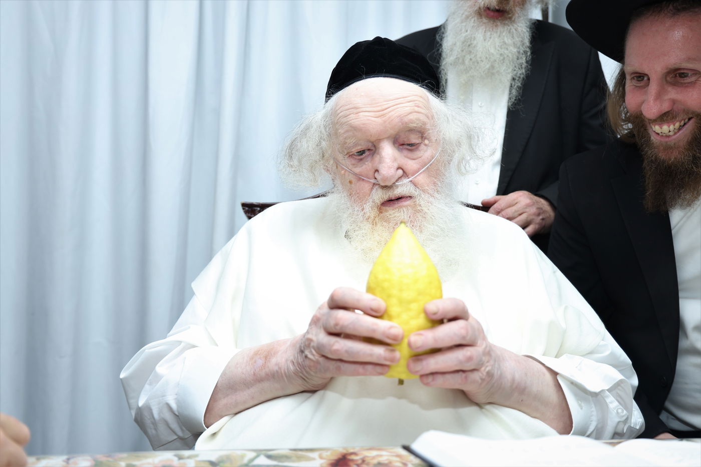 הגאון רבי משה שטרנבוך בודק אתרוגו לפני חג הסוכות 