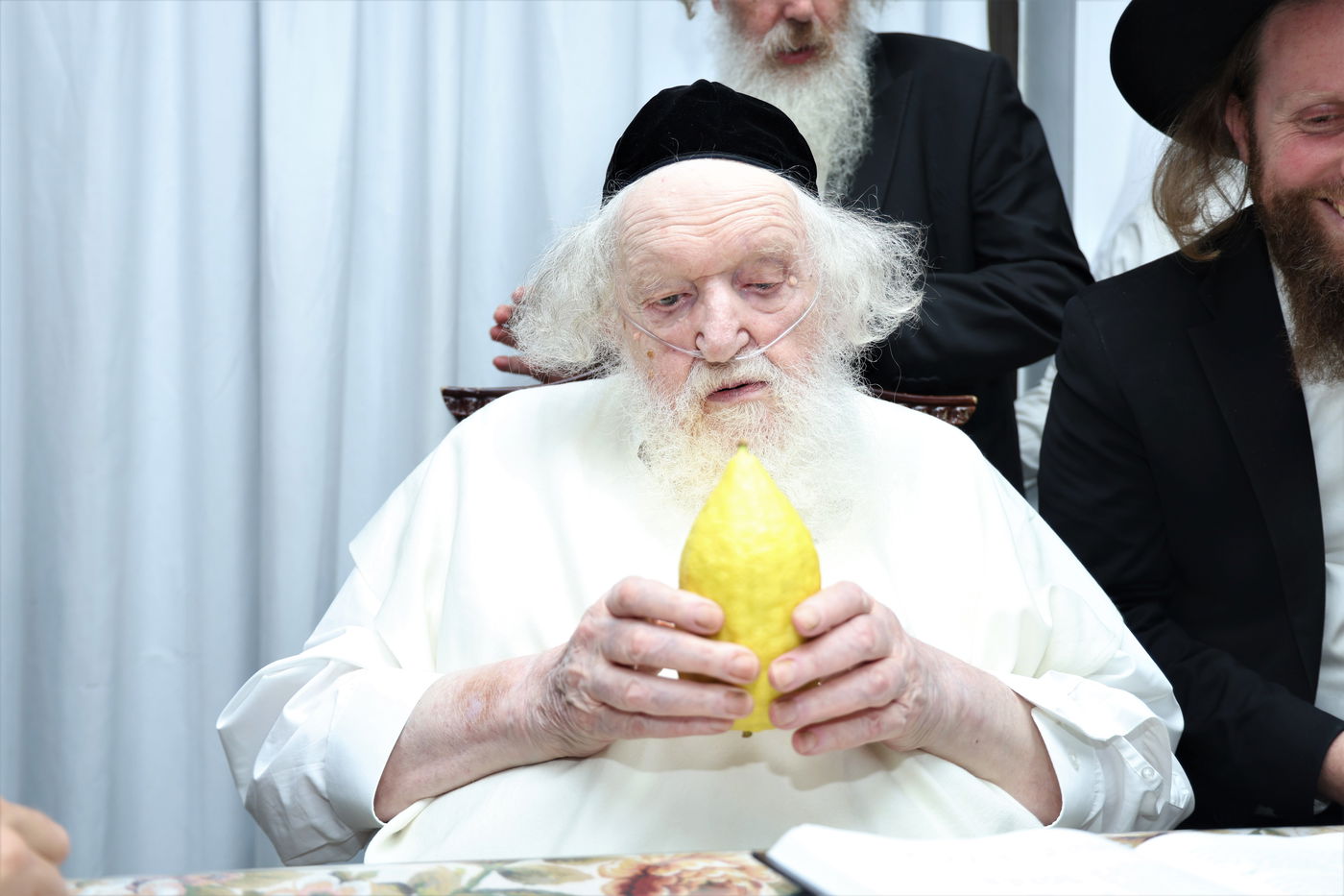 הגאון רבי משה שטרנבוך בודק אתרוגו לפני חג הסוכות 