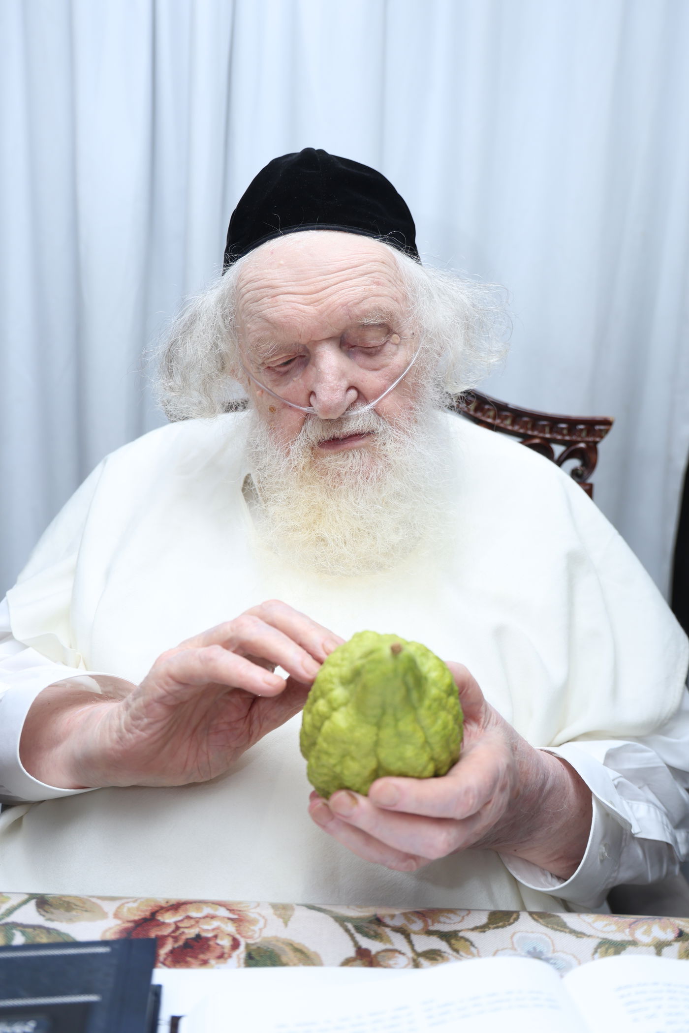 הגאון רבי משה שטרנבוך בודק אתרוגו לפני חג הסוכות 