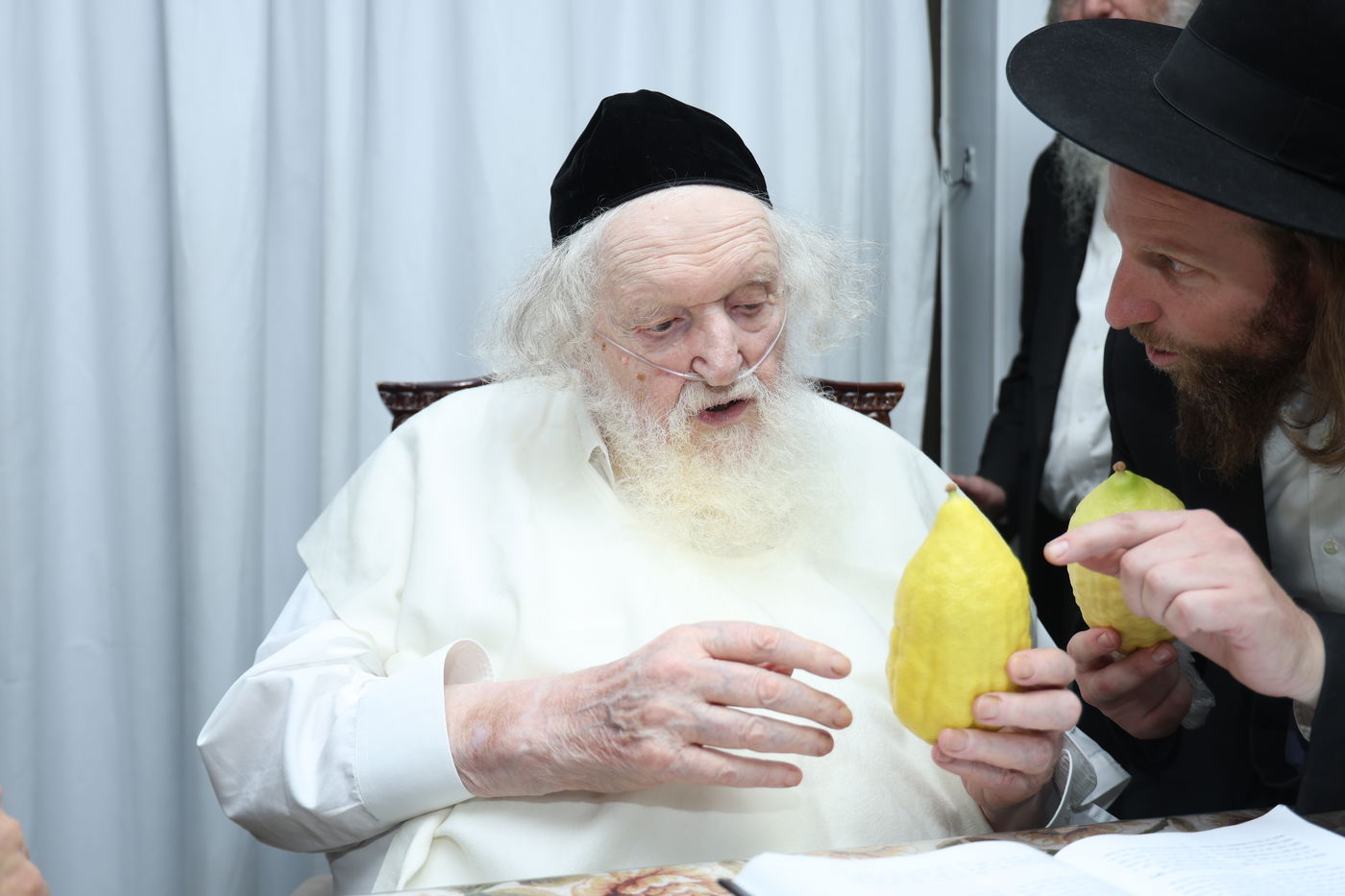 הגאון רבי משה שטרנבוך בודק אתרוגו לפני חג הסוכות 