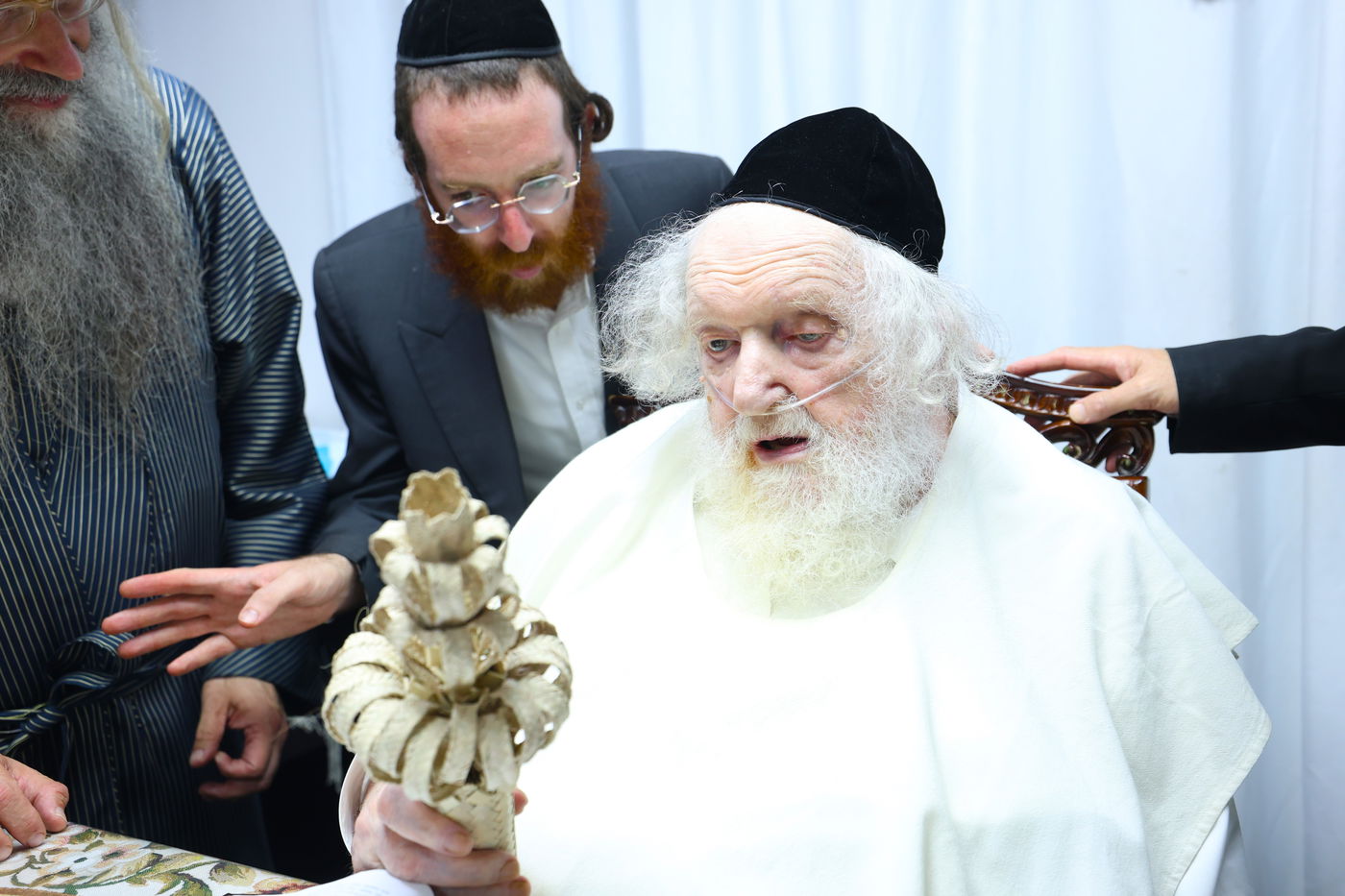 הגאון רבי משה שטרנבוך בודק אתרוגו לפני חג הסוכות 