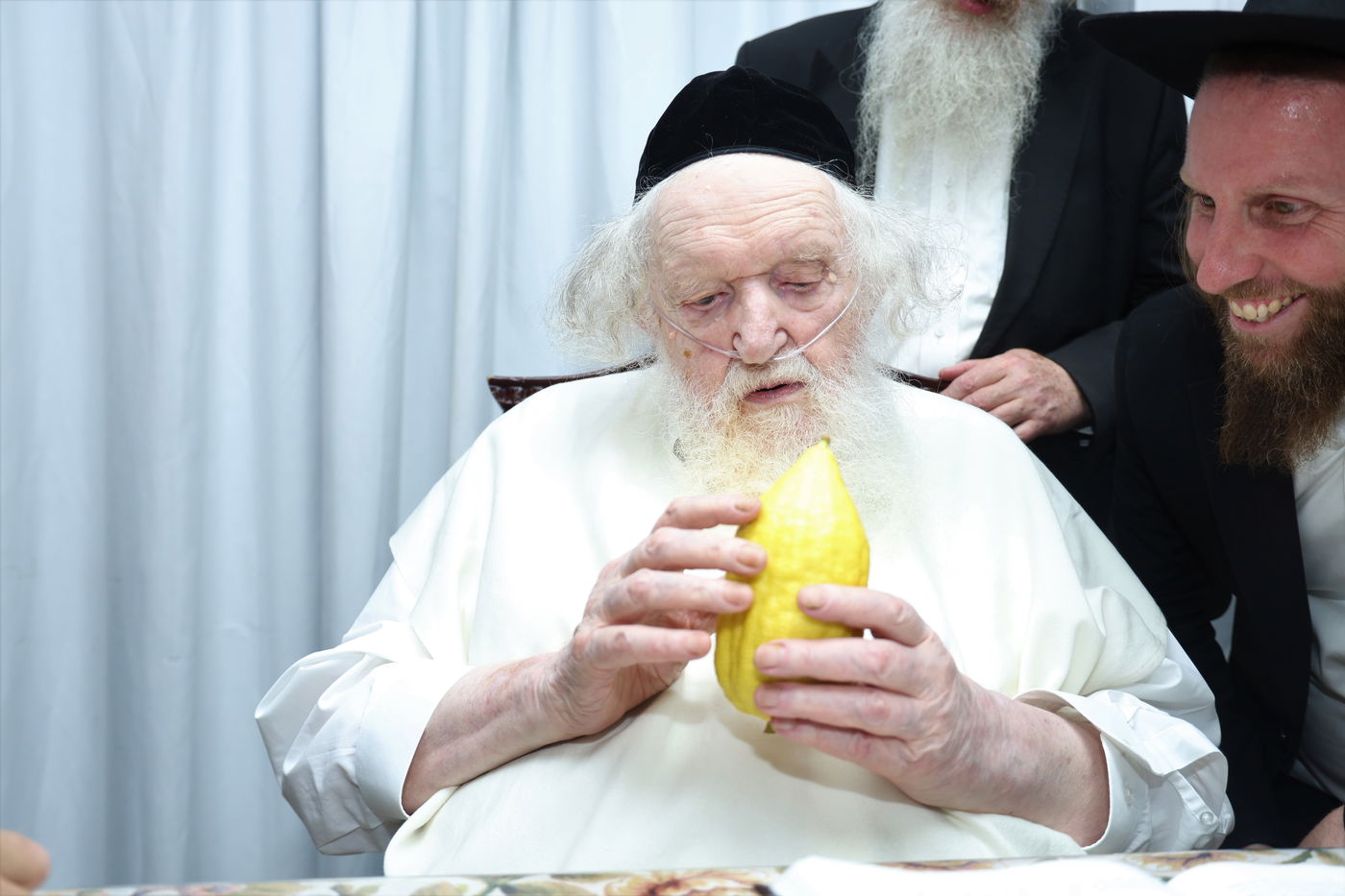 הגאון רבי משה שטרנבוך בודק אתרוגו לפני חג הסוכות 