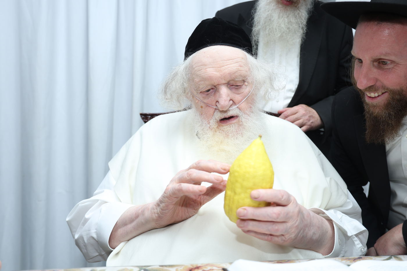 הגאון רבי משה שטרנבוך בודק אתרוגו לפני חג הסוכות 