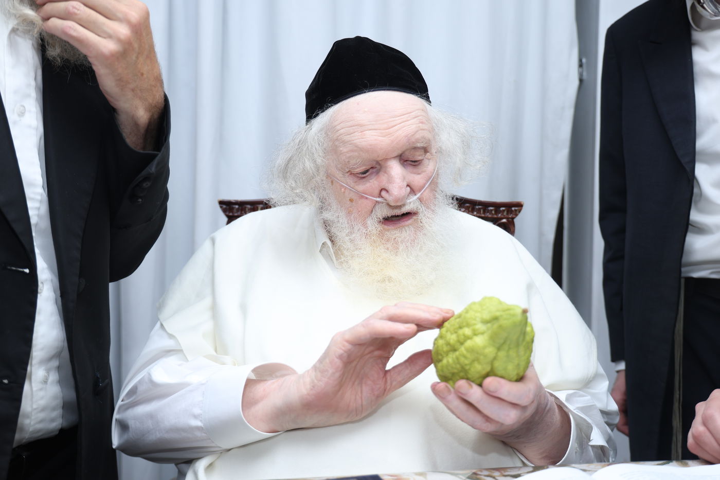 הגאון רבי משה שטרנבוך בודק אתרוגו לפני חג הסוכות 