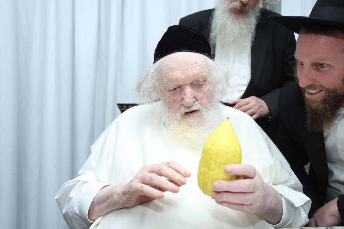 הגאון רבי משה שטרנבוך בודק אתרוגו לפני חג הסוכות 