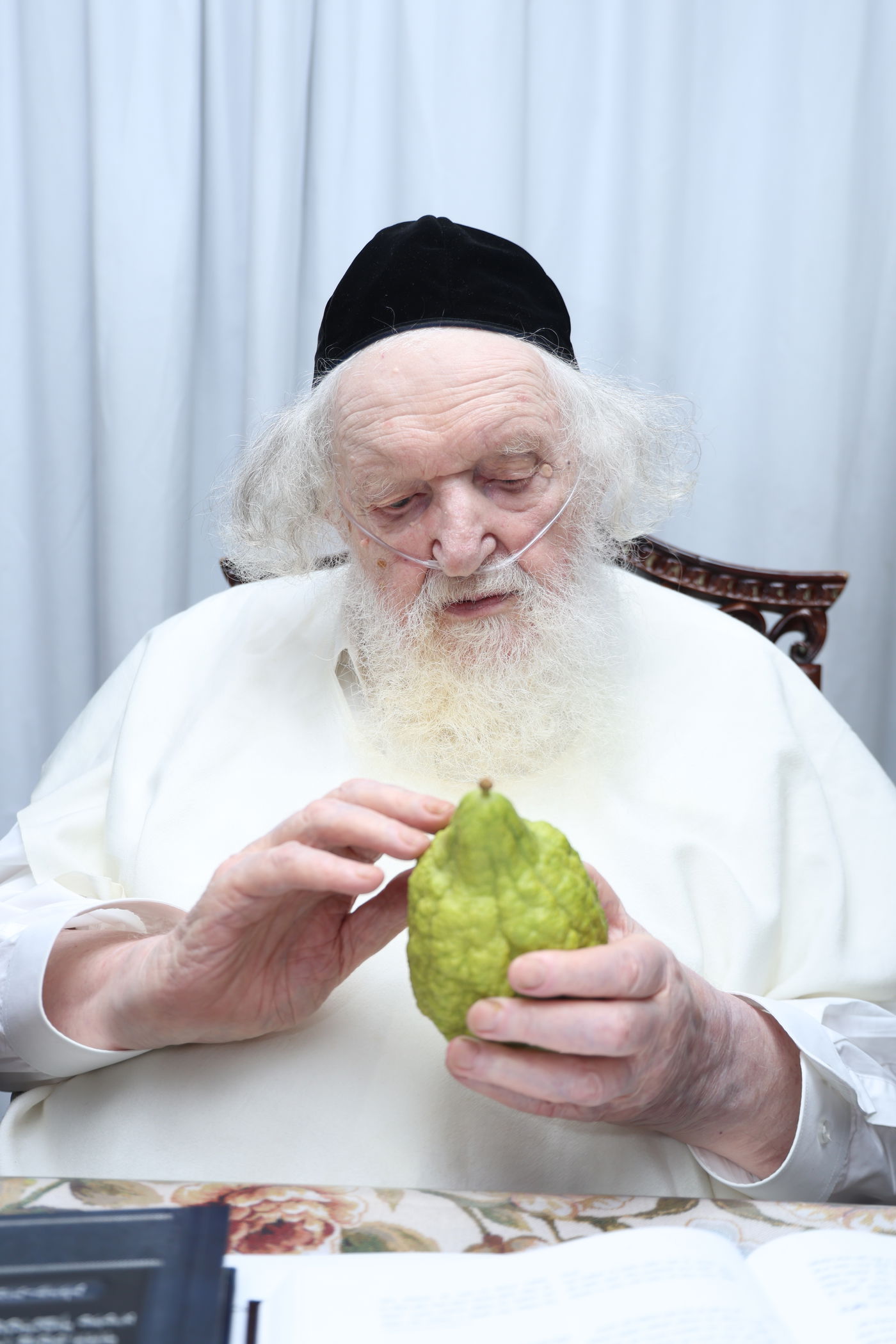 הגאון רבי משה שטרנבוך בודק אתרוגו לפני חג הסוכות 