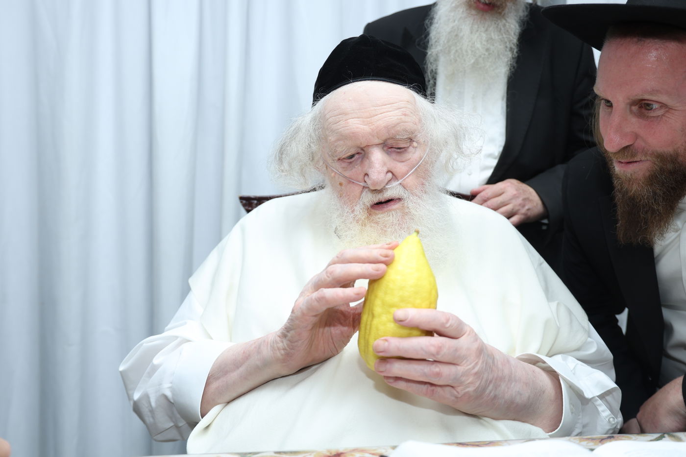 הגאון רבי משה שטרנבוך בודק אתרוגו לפני חג הסוכות 