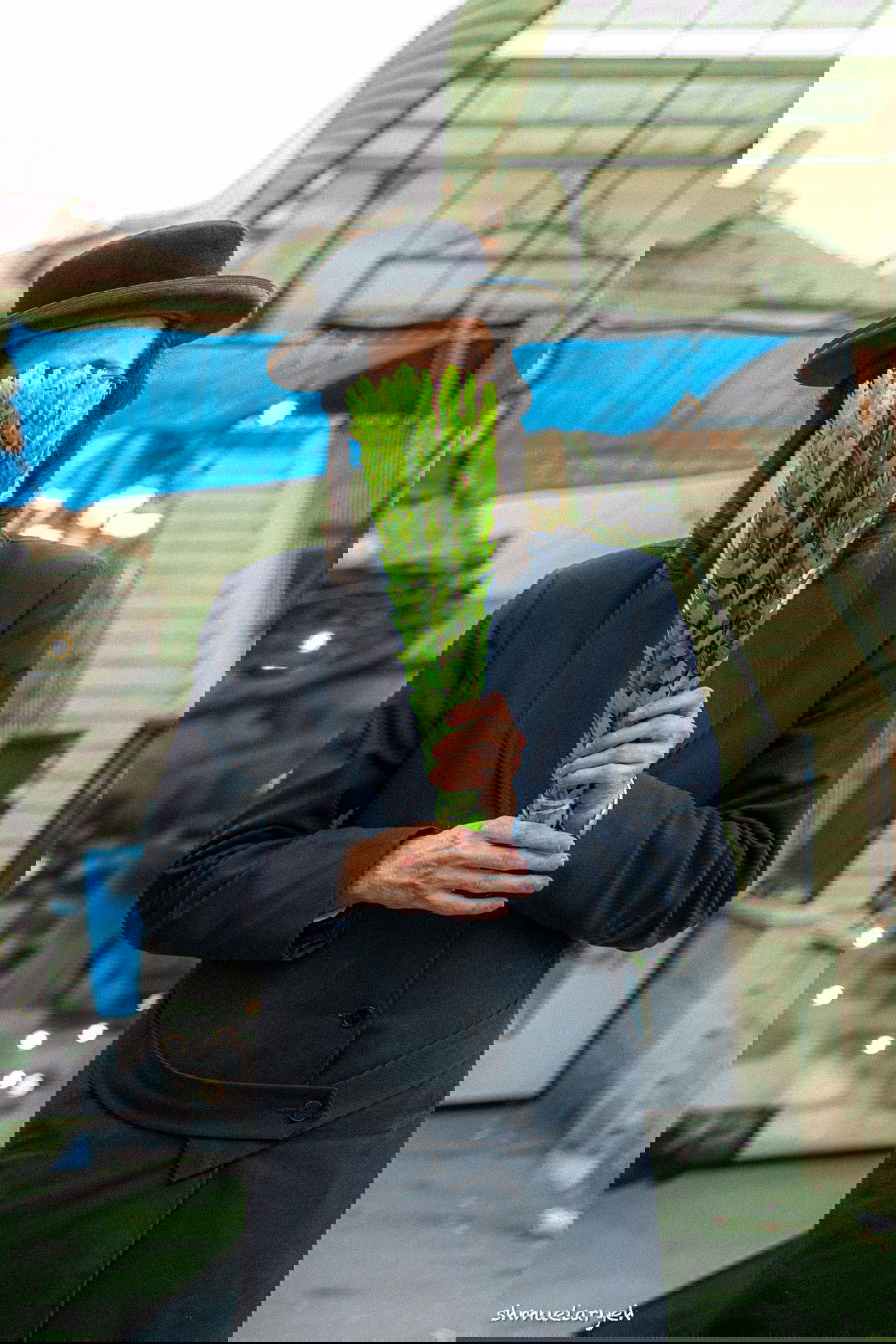 ערב חג סוכות תשפ"ה