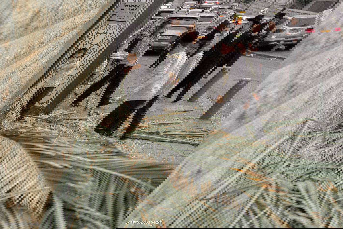 ערב חג סוכות תשפ"ה