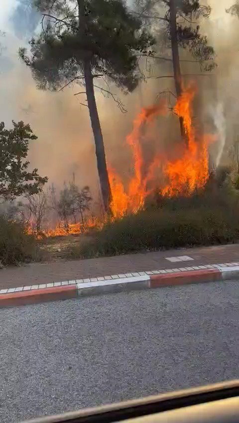 פגיעה ישירה בשלומי