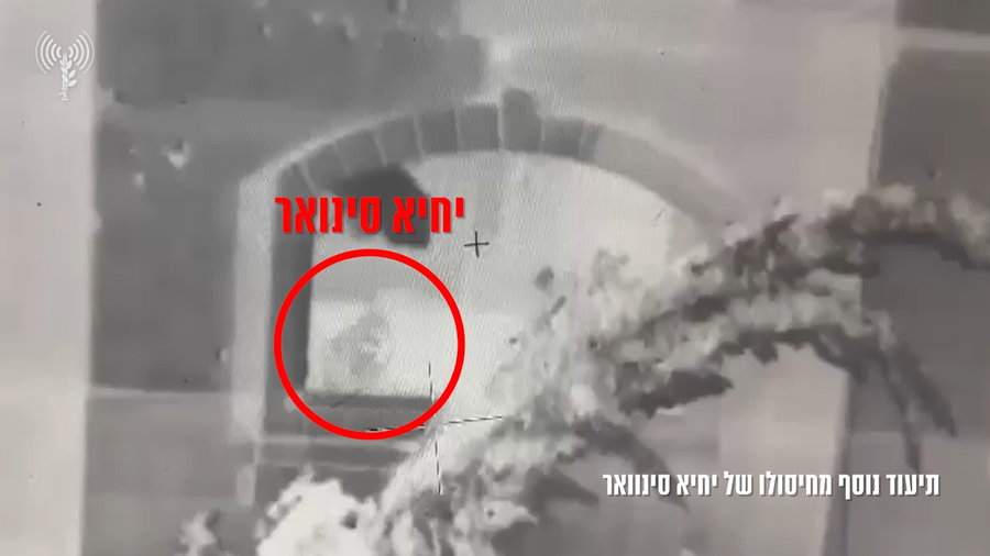 צפו בתיעוד