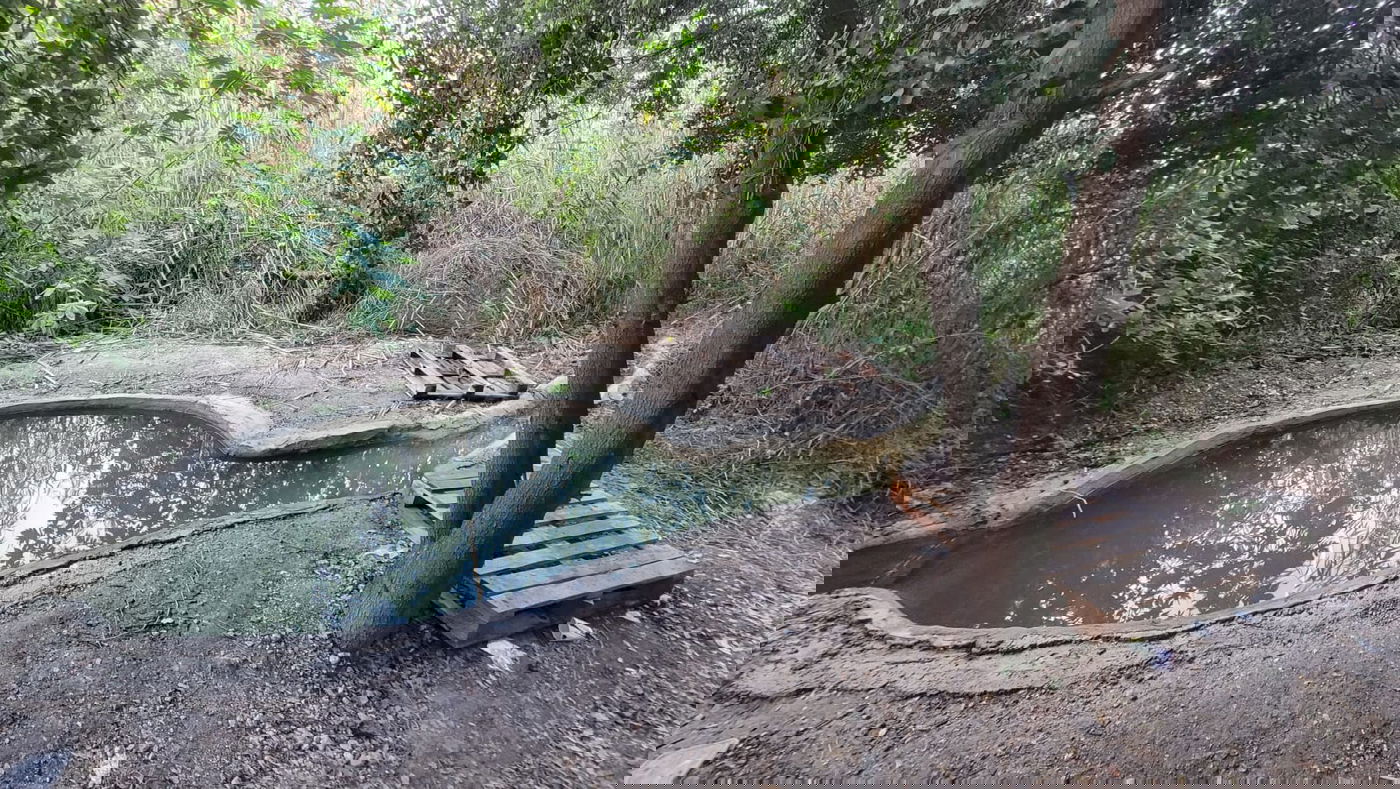 מעין השמחה ע"ש יהודה בכר הי"ד ליד בית שמש