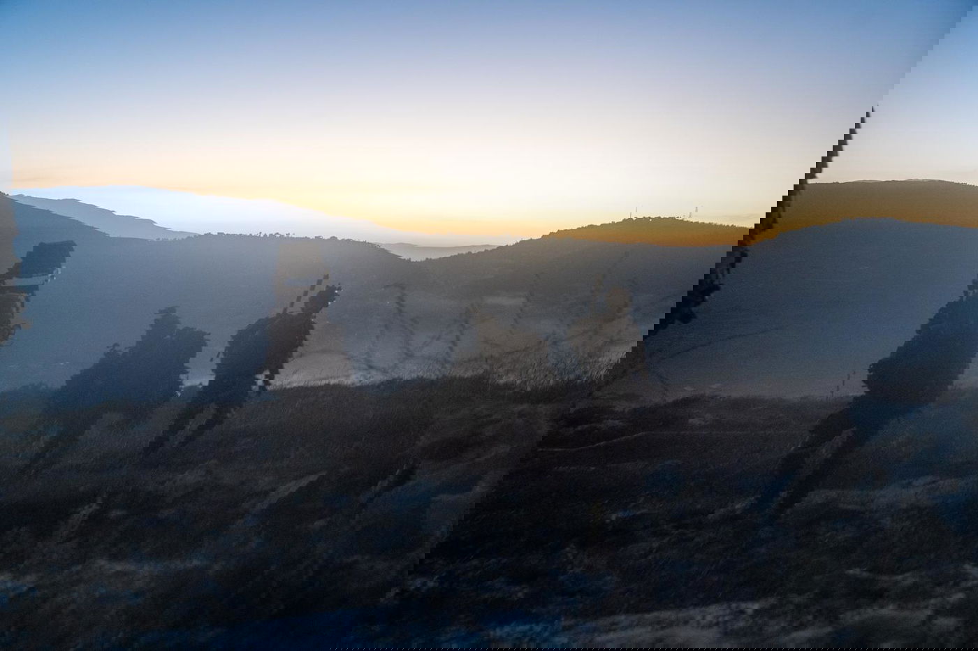 פעילות כוחות הקומנדו והאמל"ח שנתפס