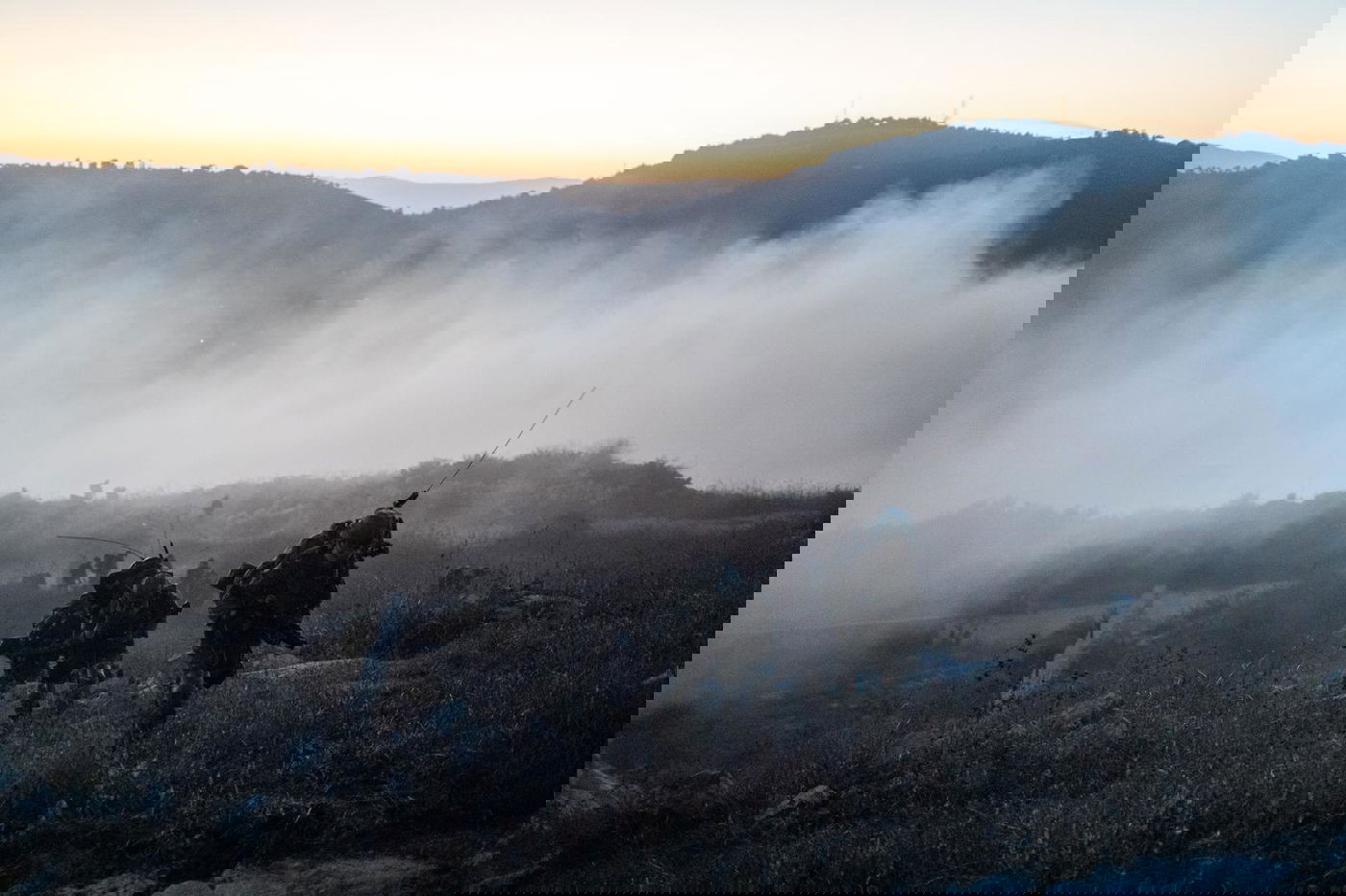 פעילות כוחות הקומנדו והאמל"ח שנתפס