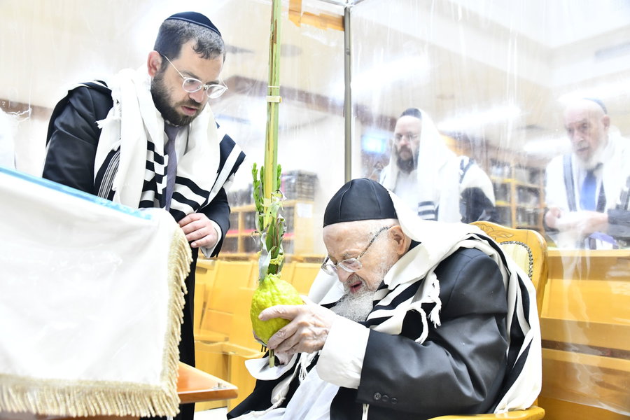 הגאון רבי מאיר צבי ברגמן בנטילת לולב