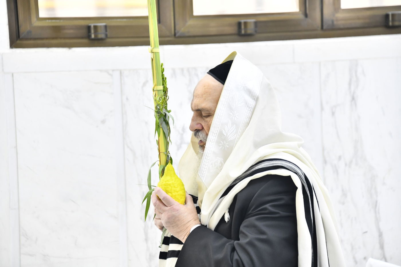 הגאון רבי חיים פיינשטיין בנטילת לולב 