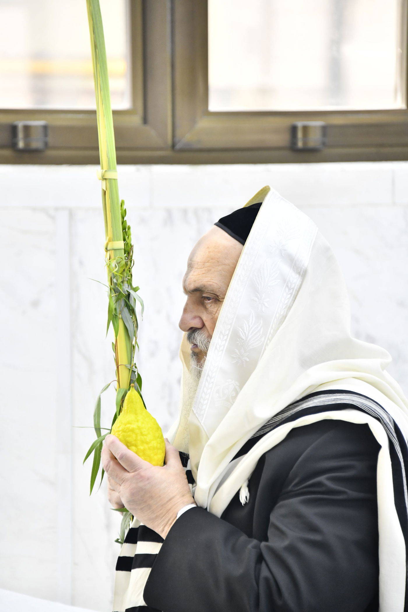 הגאון רבי חיים פיינשטיין בנטילת לולב 