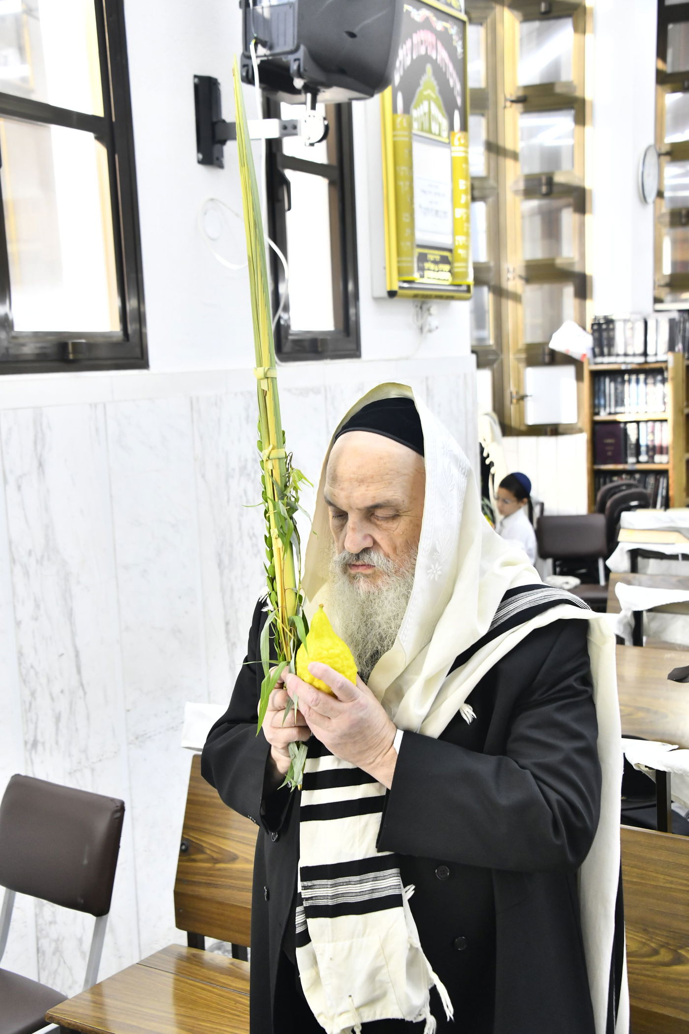 הגאון רבי חיים פיינשטיין בנטילת לולב 