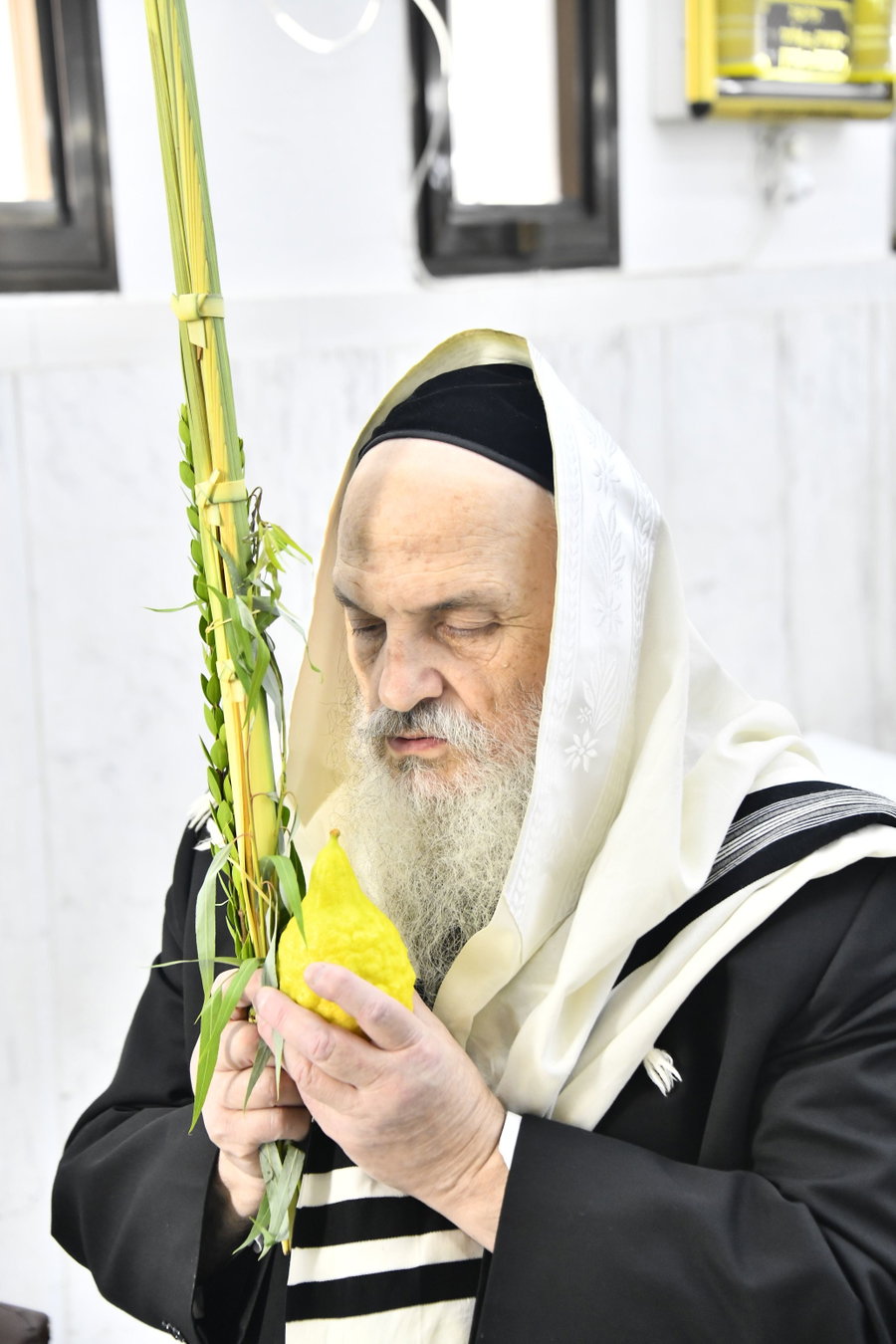 הגאון רבי חיים פיינשטיין בנטילת לולב