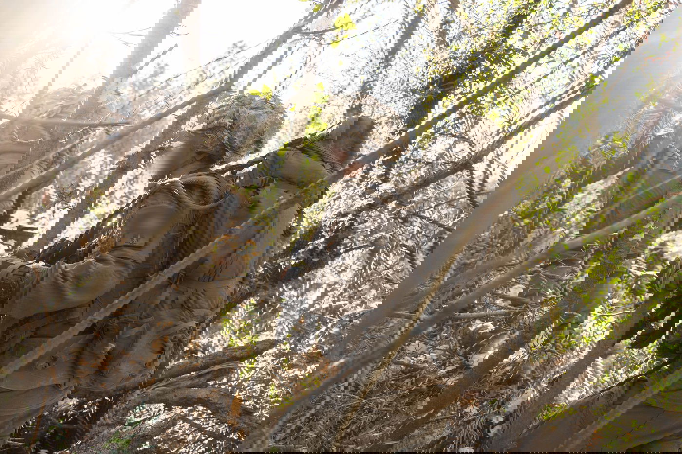 פעילות הכוחות בדרום לבנון