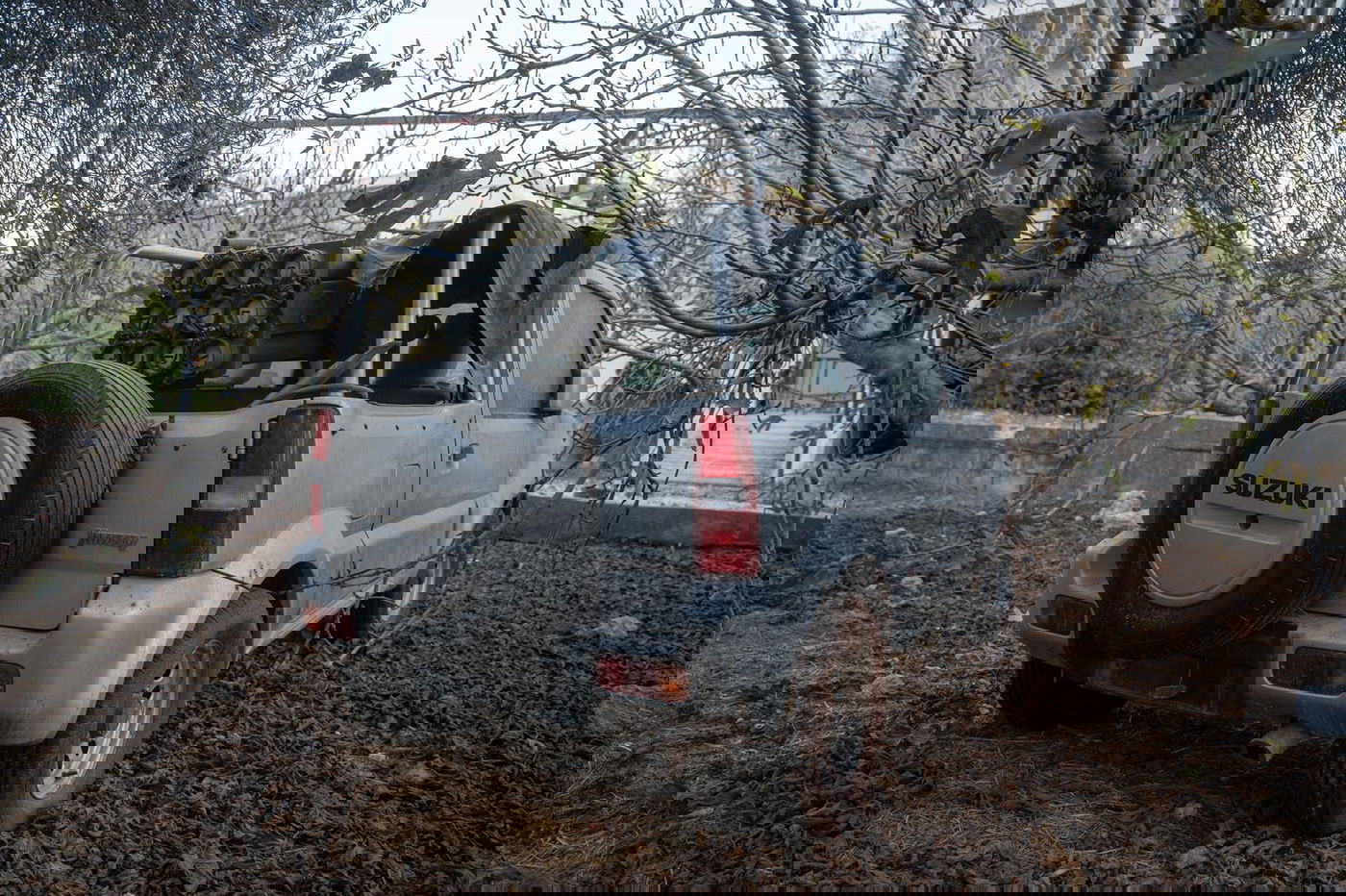 פעילות צה"ל בדרום לבנון והאמל"ח שנתפס