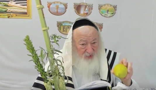 בואו לסיים ש"ס תוך שנה | השיעור היום: מסכת עירובין כ"ח-ל"ד