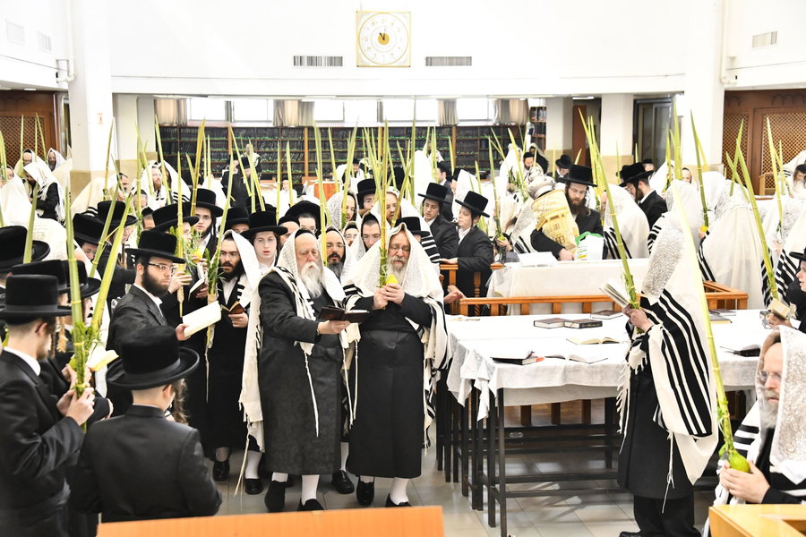 האדמו"ר מנדבורנה בנענועים בחג הסוכות