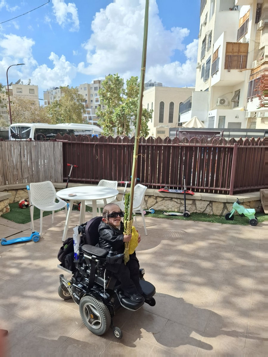 חזקי טורנהיים בנטילת לולב