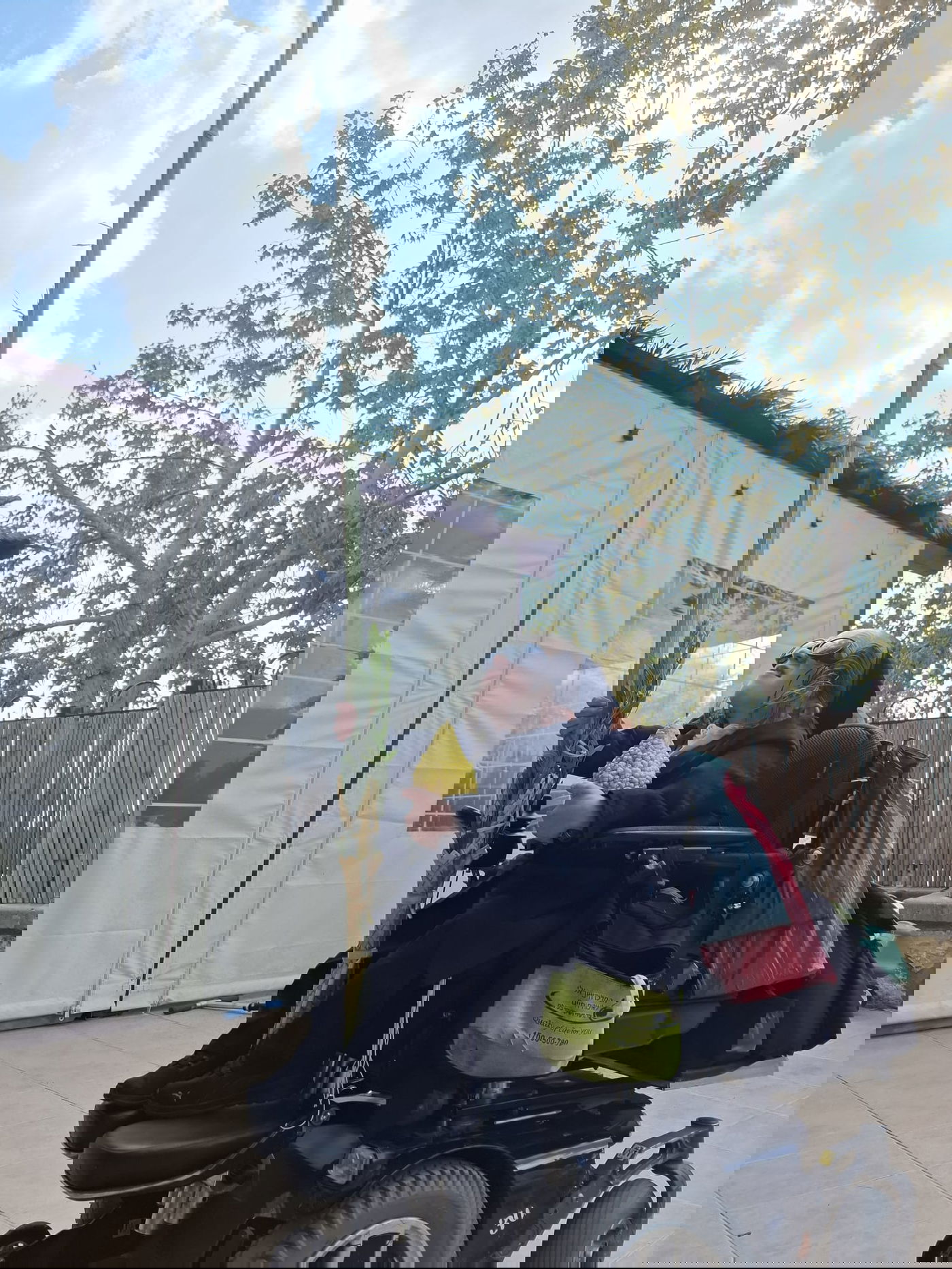 חזקי טורנהיים בנטילת לולב 