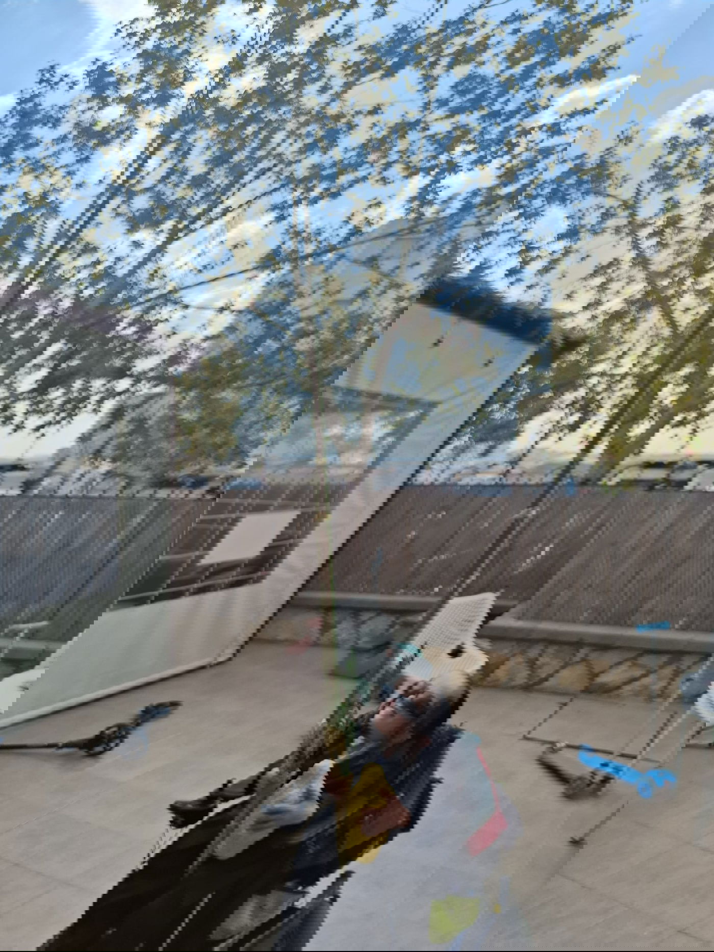 חזקי טורנהיים בנטילת לולב 