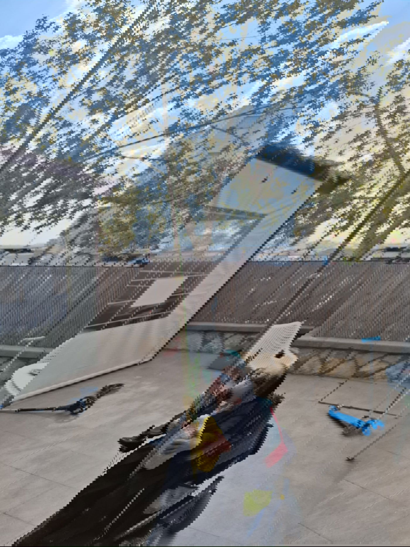 חזקי טורנהיים בנטילת לולב 