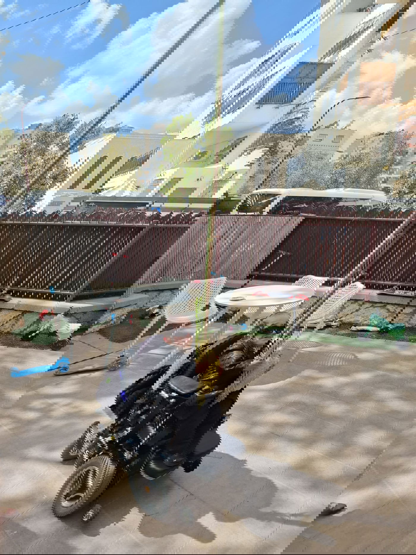 חזקי טורנהיים בנטילת לולב 