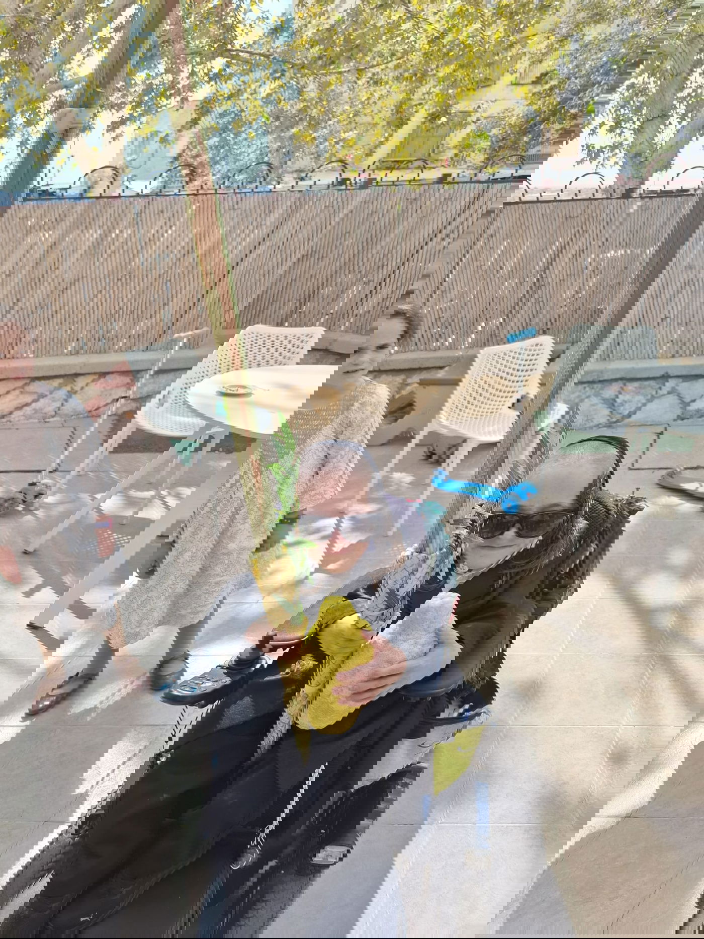 חזקי טורנהיים בנטילת לולב 