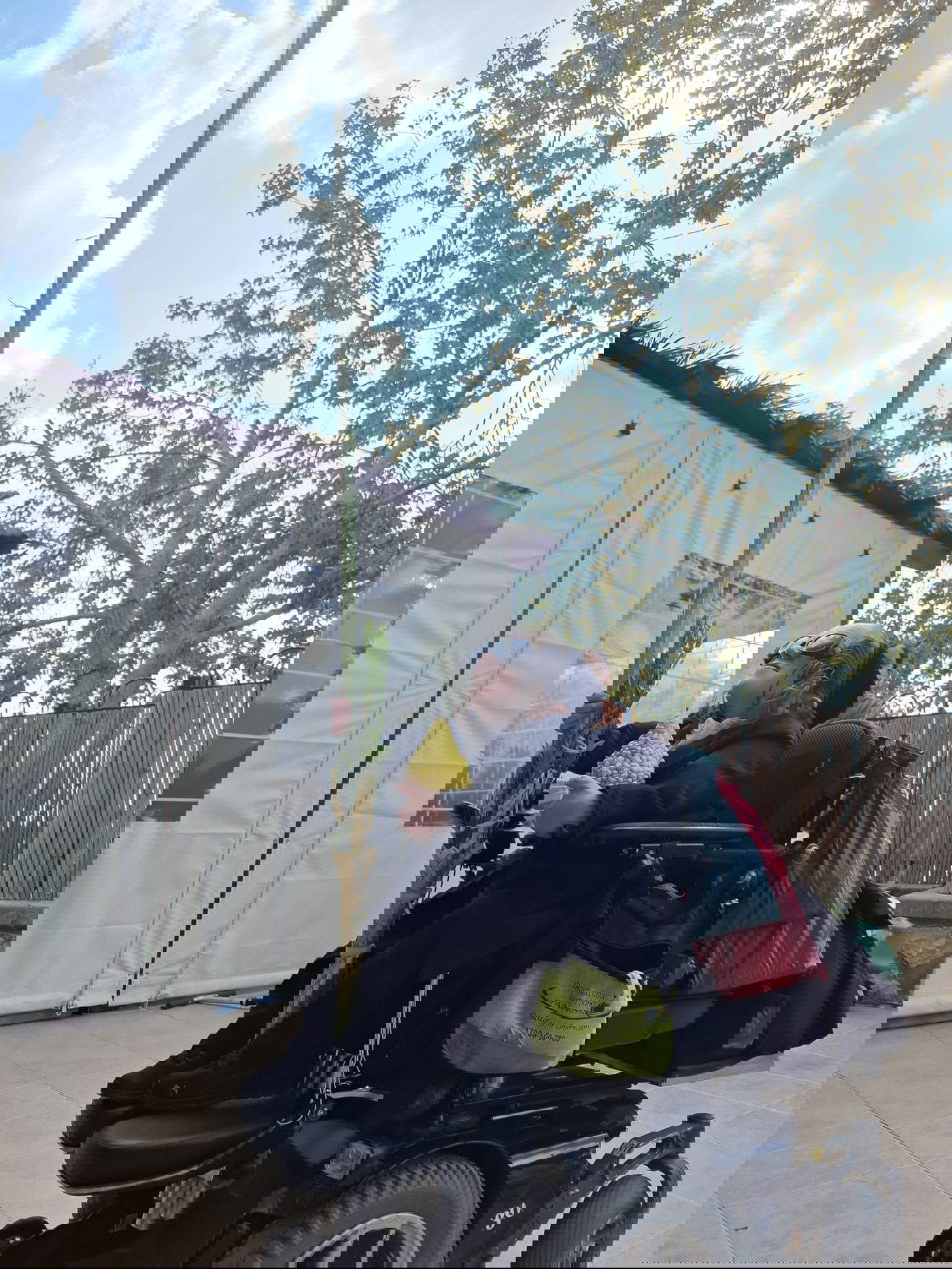 חזקי טורנהיים בנטילת לולב 