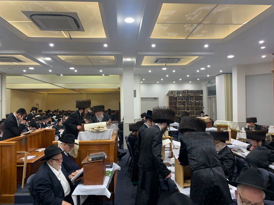 קריאת משנה תורה באוסטרליה