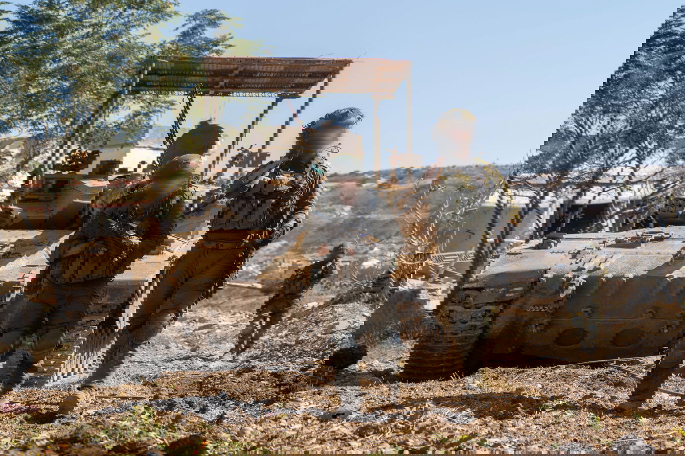 פעילות הכוחות 