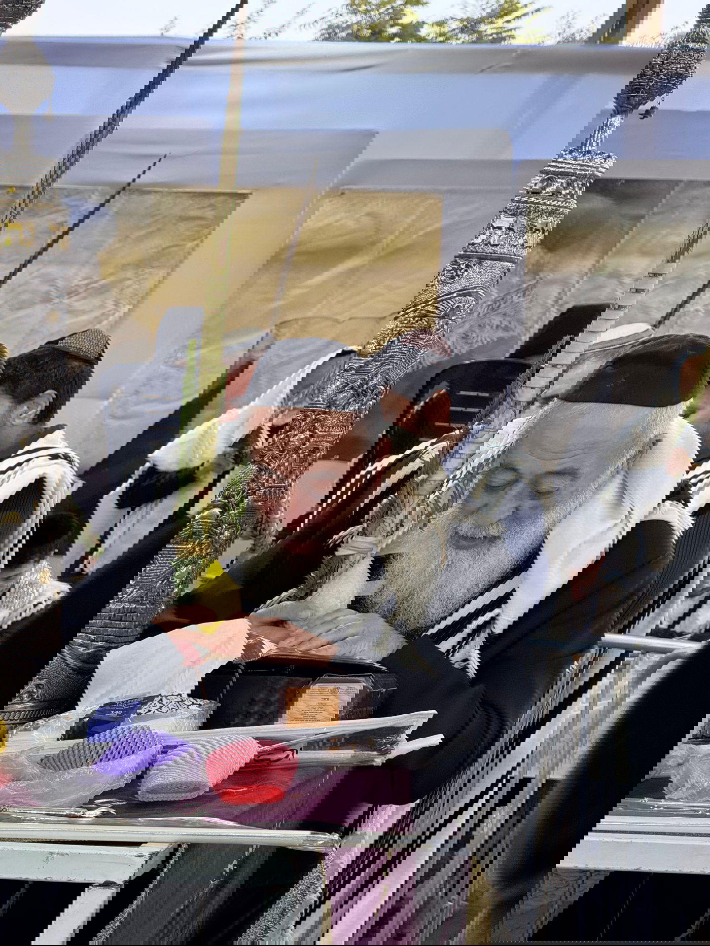 הראשל"צ הגרש"מ עמאר בהושענות וחיבוט הערבה | צפו