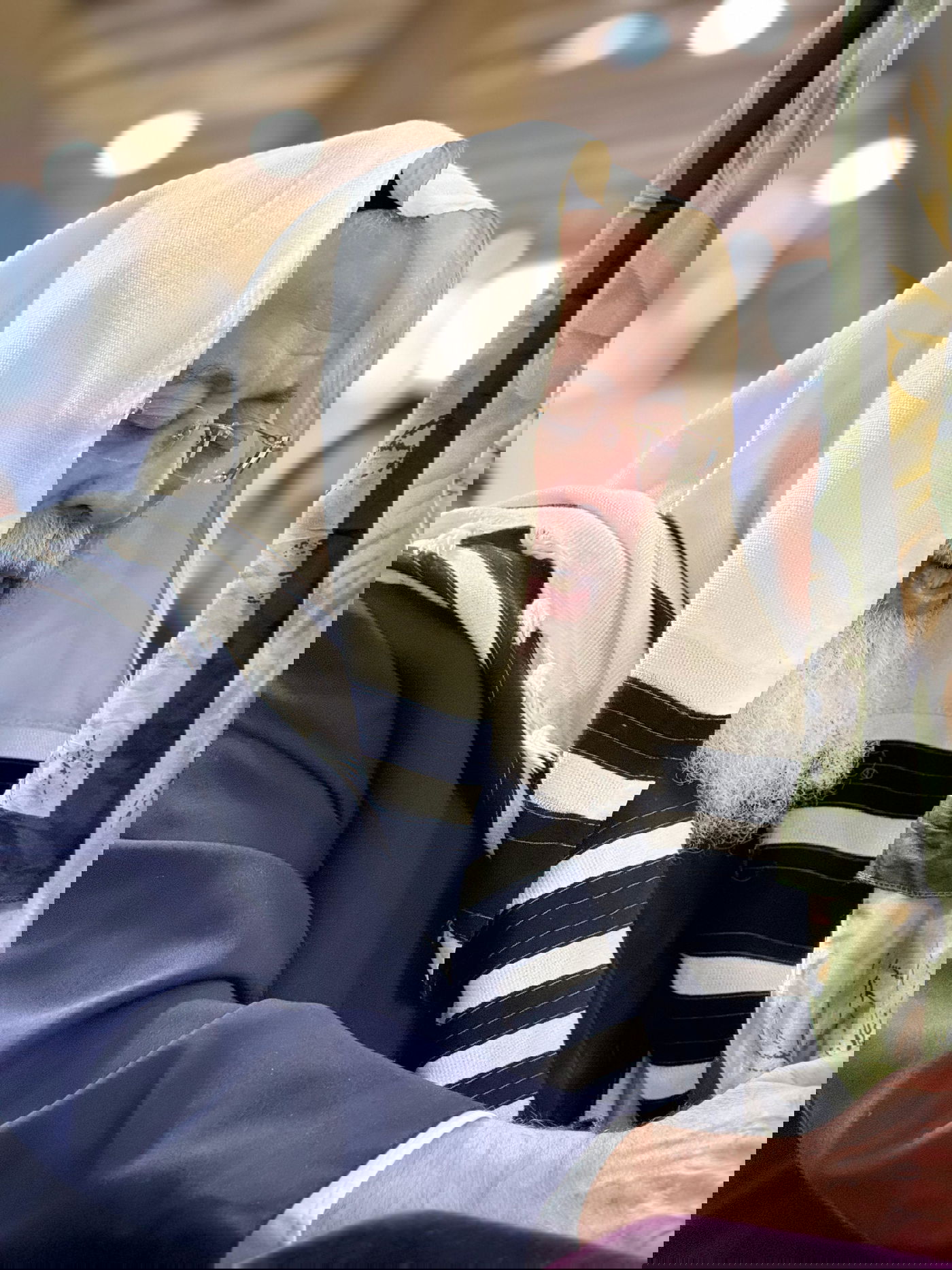 הראשל"צ הגרש"מ עמאר בהושענות וחיבוט הערבה | צפו