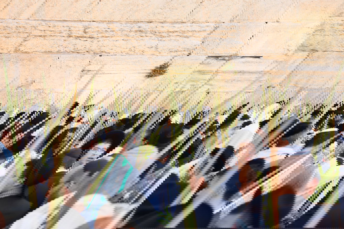 תפילת שחרית בכותל המערבי, הושענא רבה תשפ"ה