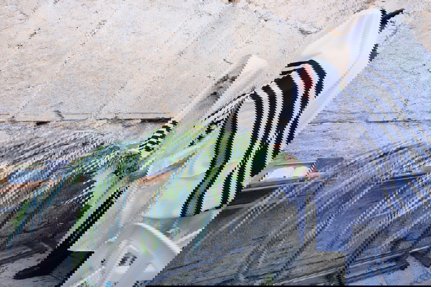 תפילת שחרית בכותל המערבי, הושענא רבה תשפ"ה