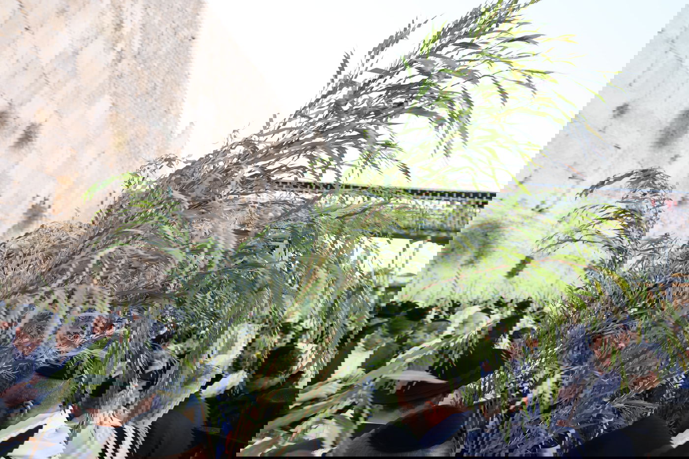 תפילת שחרית בכותל המערבי, הושענא רבה תשפ"ה