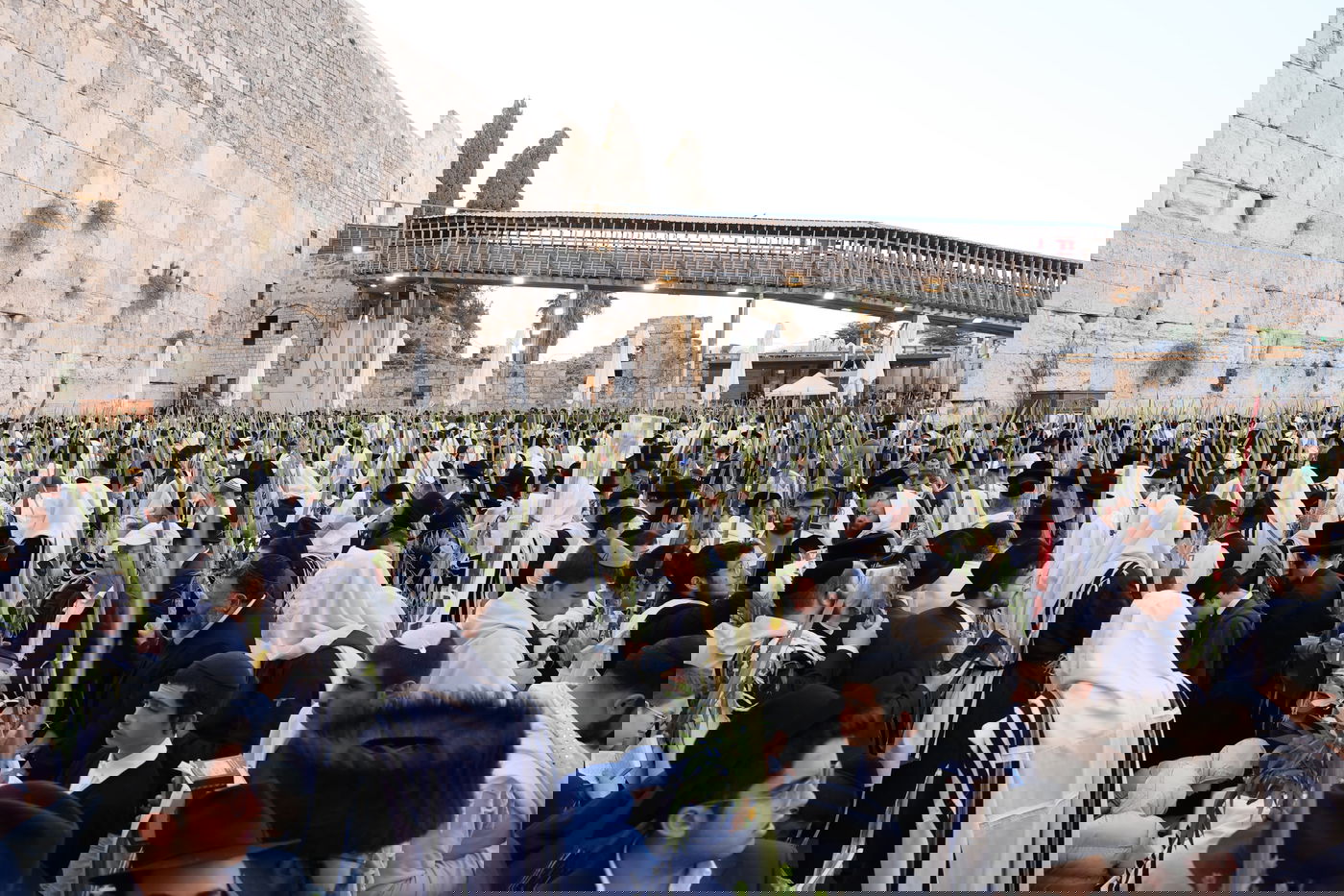 תפילת שחרית בכותל המערבי, הושענא רבה תשפ"ה