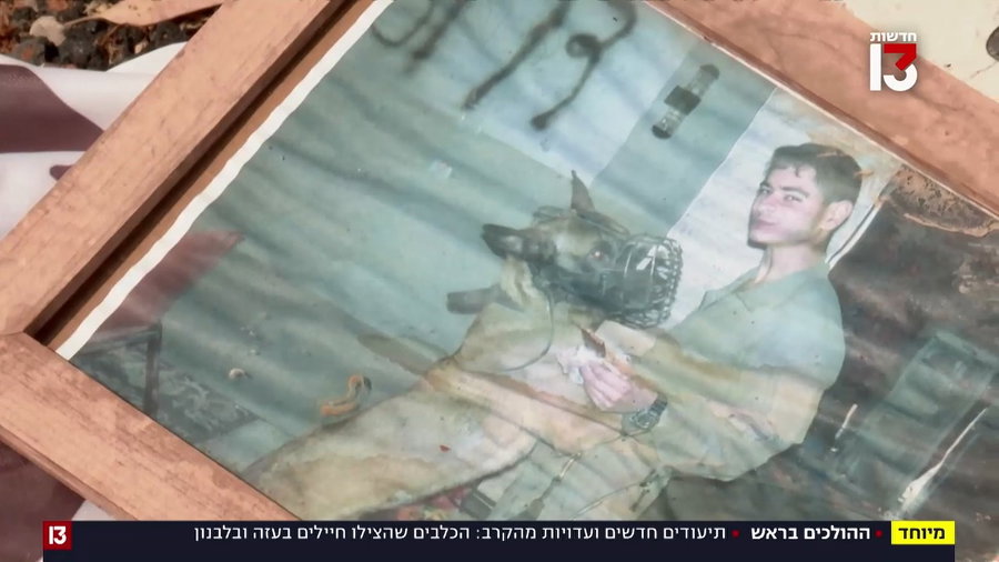 כלבי יחידת עוקץ בפעולה