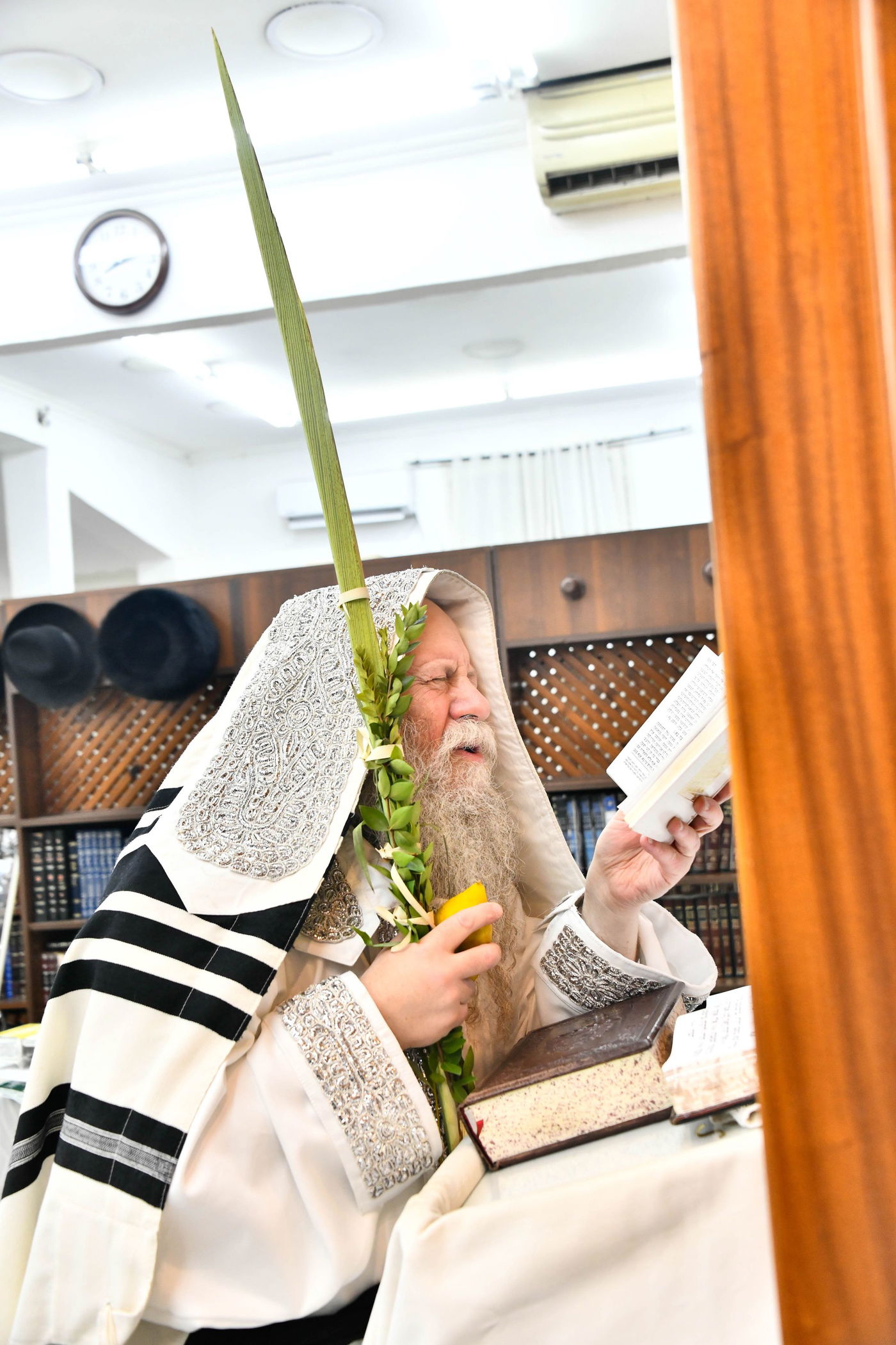 הושענא רבה בחצה"ק קוזמיר 